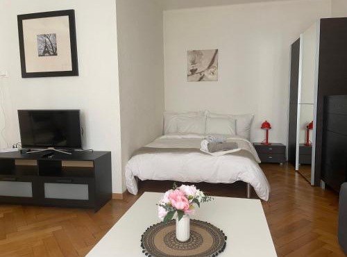 Appartement clame 6 minutes de la gare de Lausanne