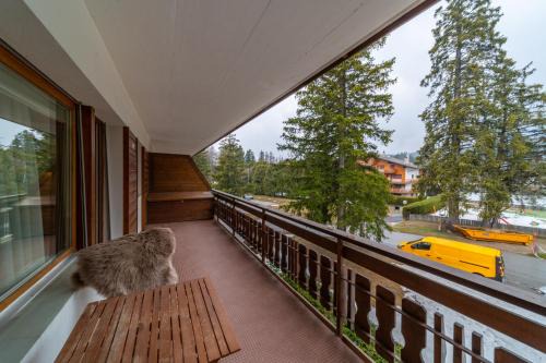 Lovely studio in Crans’ center